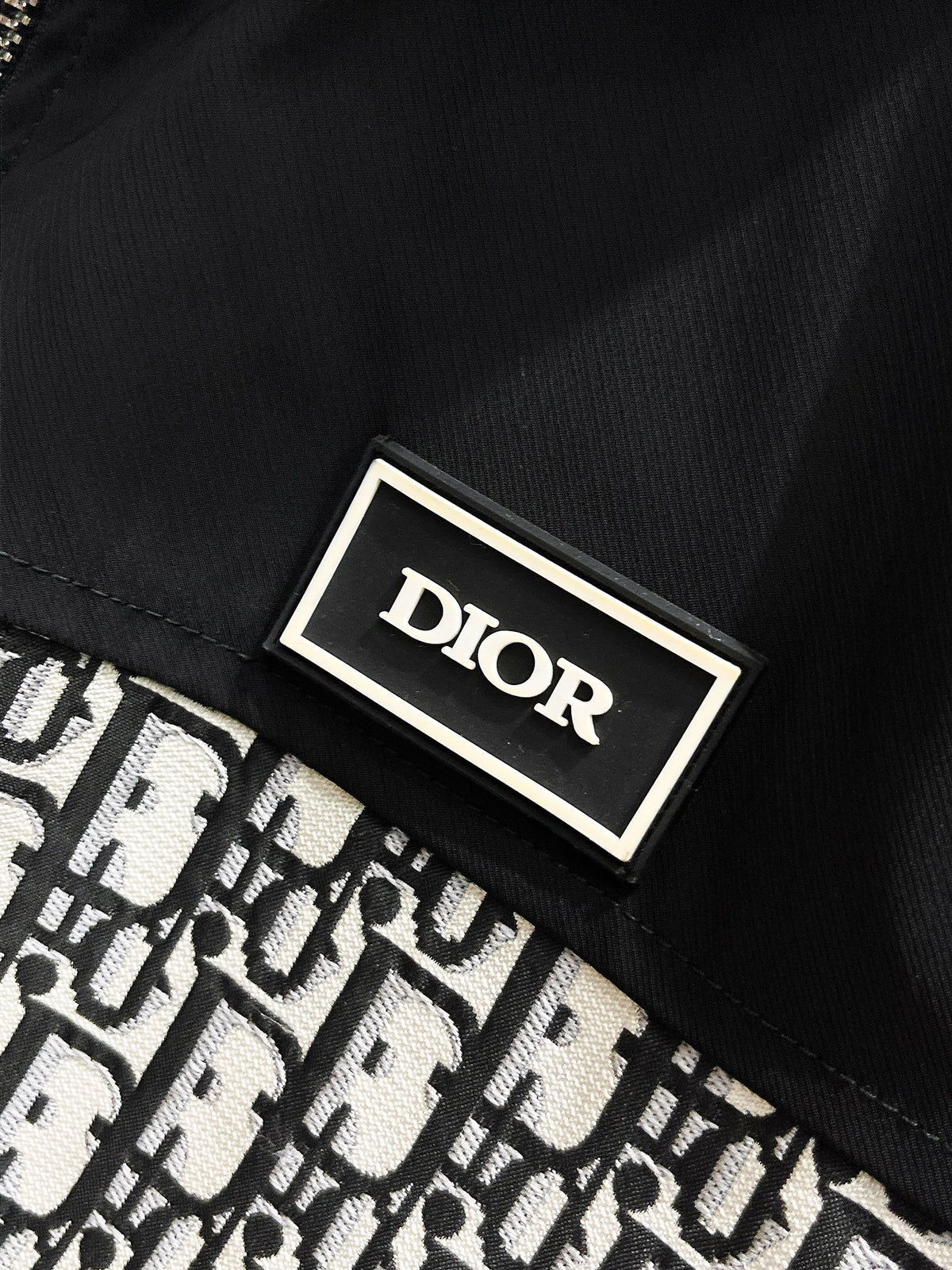 DIOR HOODIE
